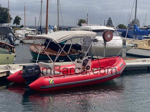 Zodiac Pro 470 scheda tecnica e recensioni